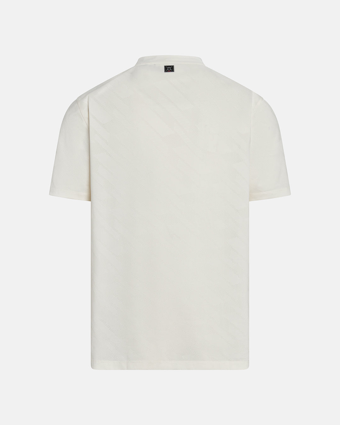 Pinnacle-Banded-Polo_Milk-White_Product Back Shot #color_white